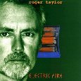 Electric Fire
